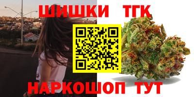 МДПВ Гатчина
