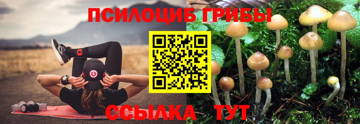 Псилоцибиновые грибы Psilocybe  Псилоцибиновые грибы Cubensis  Киров  наркотики  Вход с VPN 