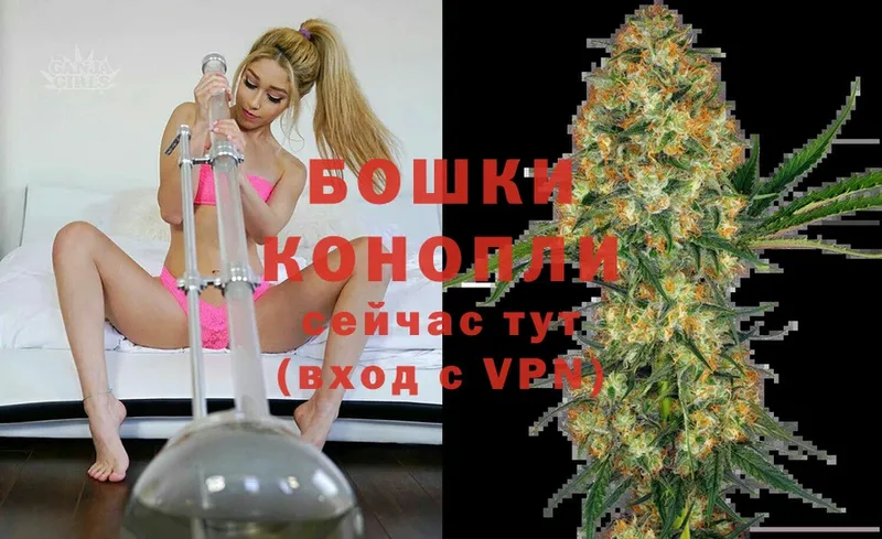 Бошки марихуана THC 21%  Киров 